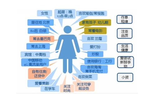 抖音用戶畫像解析 基本屬性、案例剖析及思邁特軟件Smartbi在軟件銷售中的應用